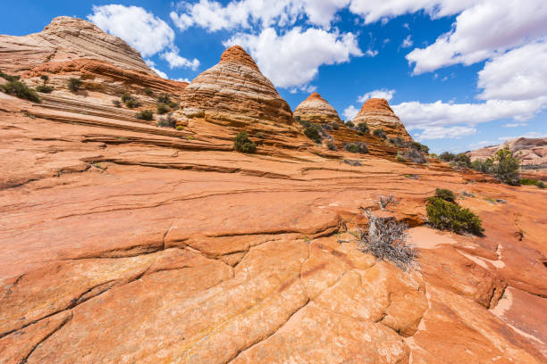 istock Coyote Buttes in Arizona 1383395004