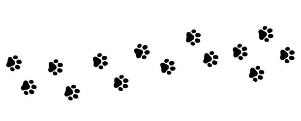 Footprint trail of dog and cat Footprint trail of dog and cat, clue, Tracking, Wander, roam paw print stock illustrations