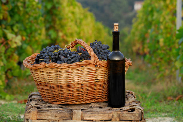 istock The fresh red wine bottle and grapes 1383412009