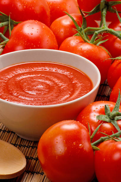istock Tomato cream dish on fresh tomatoes 1383413653