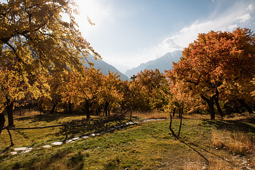 Majestic Autumn in Hunza valley in Pakistan