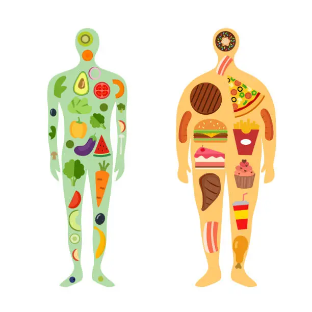 Vector illustration of Fat and slender man. Comparison of healthy and unhealthy eating concept vector illustration on white background.