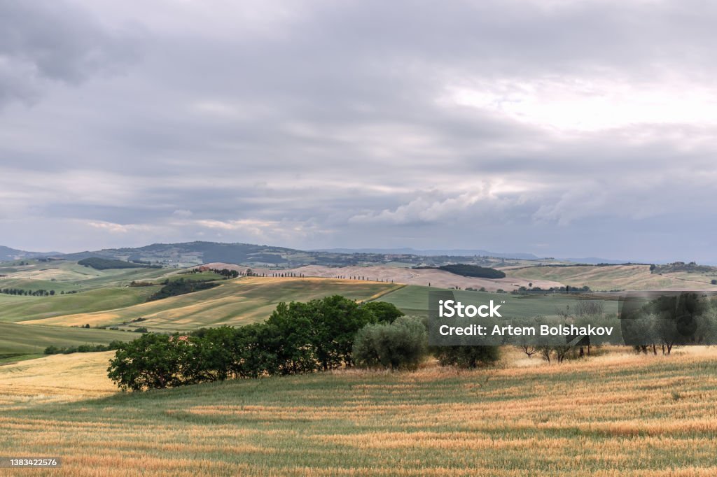 Endless Tuscan hills and ravines covered with yellow and green grass, sparse shrubs divided into separate areas for cultivated fields, Val d'Orcia, Italy Agriculture Stock Photo