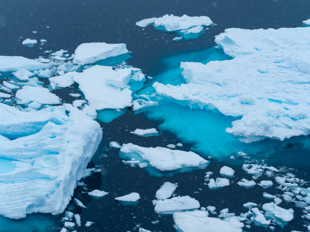 istock Cruirisng Paradise Bay and Neko Harbor, Antarctic Peninsula, Antarctica 1383424739