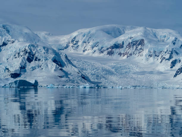 istock Cruirisng Paradise Bay and Neko Harbor, Antarctic Peninsula, Antarctica 1383424785