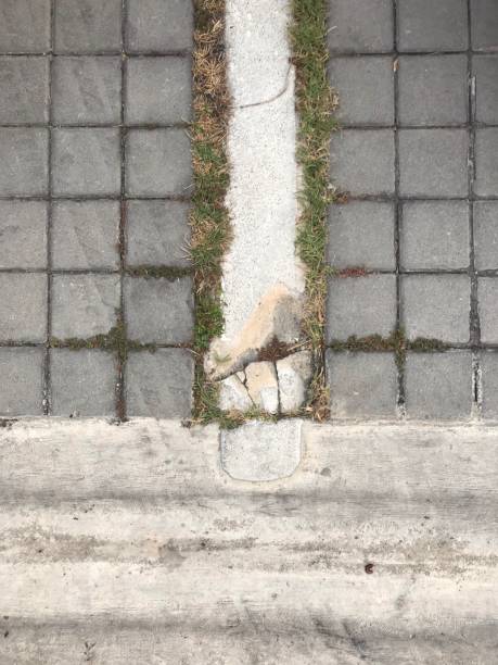 istock Pattern of the floor in the garden 1383426980