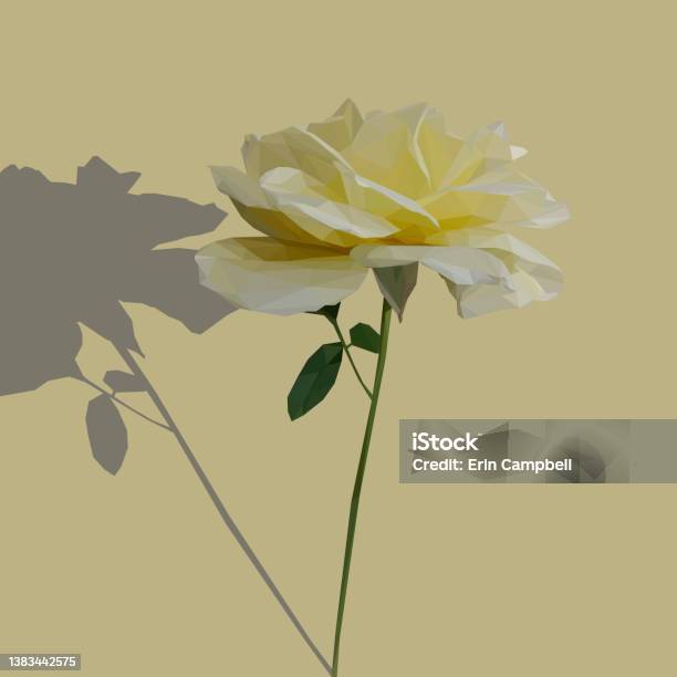 Yellow Roses Side View Low Poly Yellow Rose Side View Stock Illustration - Download Image Now ...