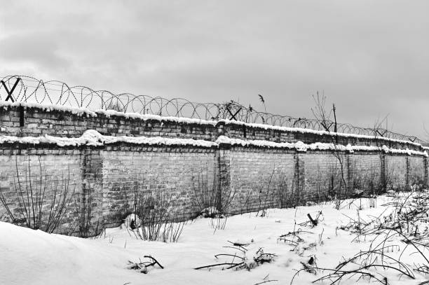 старый, но все еще очень прочный кирпичный забор, колючая проволока натянута через забор, снег - barbed wire фотографии стоковые фото и изображения