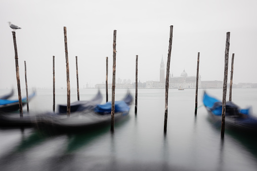 Gondolas tied up on the side of a misty Grand Canal in Venice. Across the misty lagoon we can just make out the iconic shape of the Church of San Giorgio Maggiore