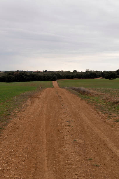 istock the rural unpaved road that passes through an agricultural field 1383451596