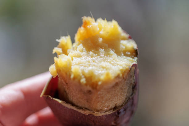 istock Japanese Sweet Potato 1383457433