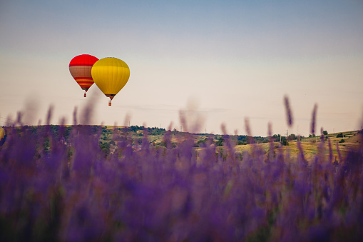 air balloon with basket above lavender field copy space