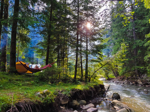 donna che riposa sdraiata sull'amaca nel campeggio - pine wood forest river foto e immagini stock