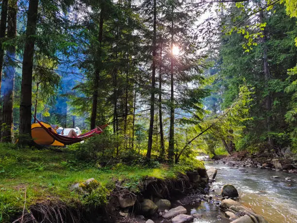 woman resting laying on hammock at camping site summer vacation green forest