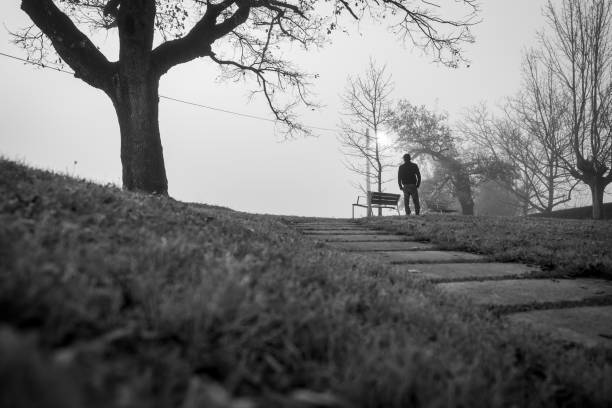 vue en contre-plongée d’un homme seul dans un parc avec un banc vide et un arbre sans feuilles. vue arrière d’un homme seul dans la scène noir et blanc. homme anxieux. triste, inquiet et déprimé. homme déprimé. temps froid. - white black tree fog photos et images de collection