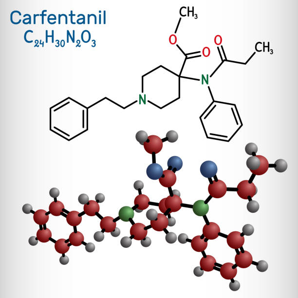 Carfentanil, carfentanyl molecule. It is derivative of fentanyl, one of the most potent opioids, used in veterinary medicine to anesthetize large animals. Structural formula, molecule model. Carfentanil, carfentanyl molecule. It is derivative of fentanyl, one of the most potent opioids, used in veterinary medicine to anesthetize large animals. Structural formula, molecule model. Vector fentanyl stock illustrations