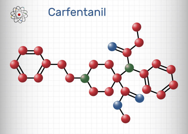 Carfentanil, carfentanyl molecule. It is derivative of fentanyl, one of the most potent opioids, used in veterinary medicine to anesthetize large animals. Molecule model. Sheet of paper in a cage Carfentanil, carfentanyl molecule. It is derivative of fentanyl, one of the most potent opioids, used in veterinary medicine to anesthetize large animals. Molecule model. Sheet of paper in a cage. Vector fentanyl stock illustrations