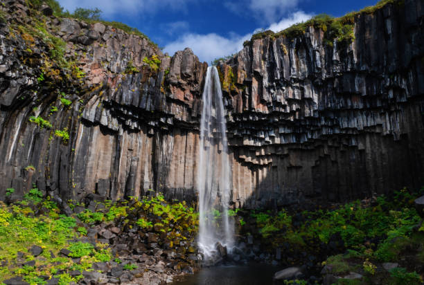 svartifoss waterfall in iceland - skaftafell national park stockfoto's en -beelden