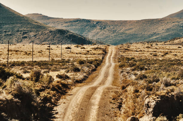 Rural country roads leading into the distance