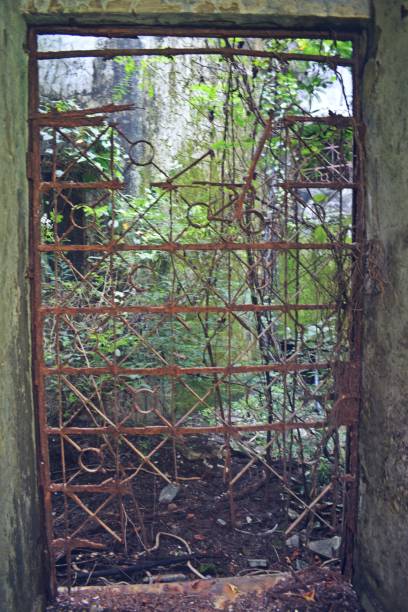 istock rusty iron grill in old abandoned building 1383484454