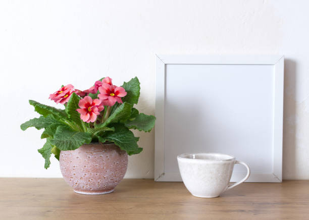 istock Spring still life. Blank white picture frame mockup on wooden table.Blooming spring pink flower primrose in a pot. Whitewall background. Nature concept. 1383486437