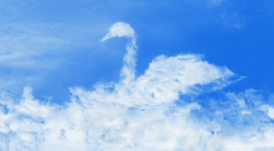 Illustration of the white cloud in the shape of swan - conceptual image for peace, freedom etc.