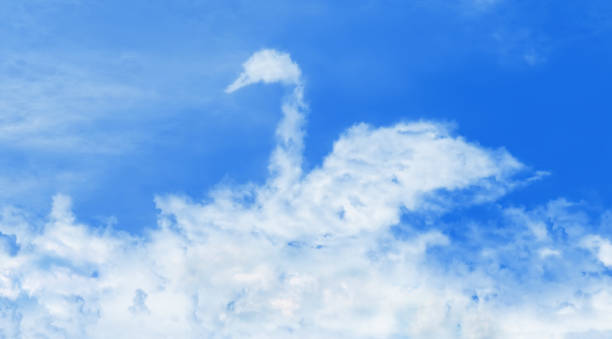 Swan-shaped cloud stock photo
