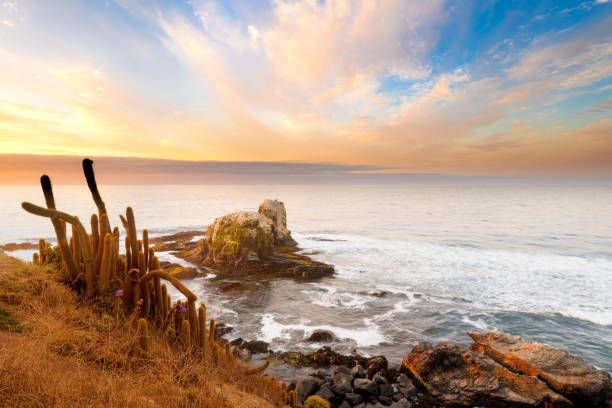 istock Punta de Lobos in Pichilemu 1383492366