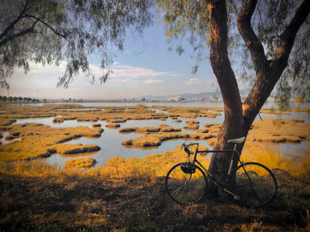 60's vintage bike near the sea at perfect day