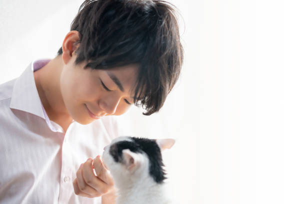 Close up headshot of a young Asian man with cat stock photo
