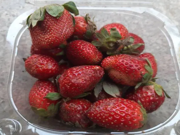 Photo of The garden strawberry are cultivated worldwide for their fruit.