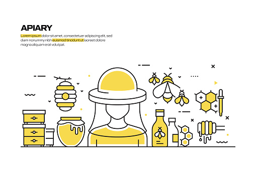 Apiary And Math Apiary Concept Line Style Vector Illustration Stock Illustration ...