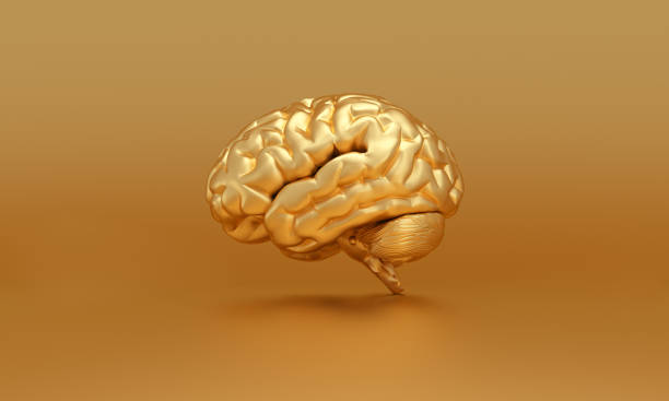 istock Golden brain on gold background, thinking, genius concept. 1383505712