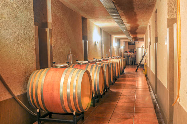 istock Wines left to age in barrels in the underground wine cellar 1383509063