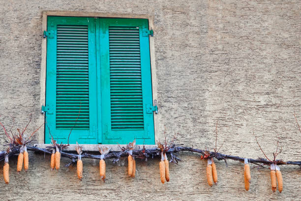 Closed green shutter and hanging dried corn on the cob