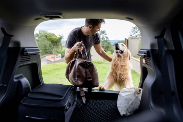hombre que va de viaje por carretera con su perro - dog car travel pets fotografías e imágenes de stock