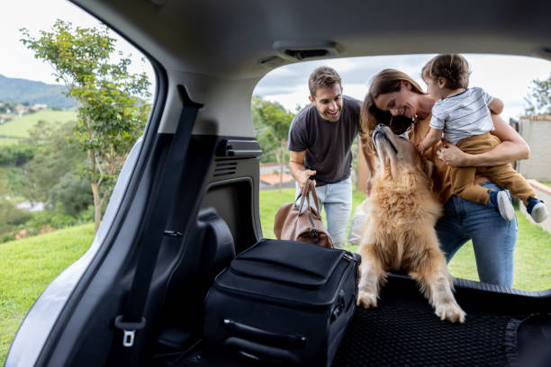 glückliche familie, die taschen ins auto lädt und auf einen roadtrip geht - autoreise stock-fotos und bilder