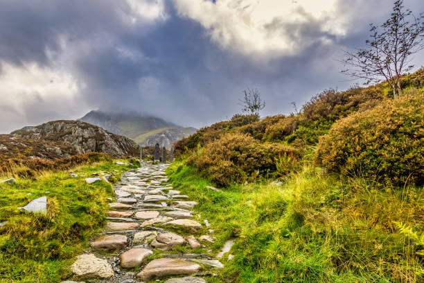 istock Snowdonia National Park 1383517262