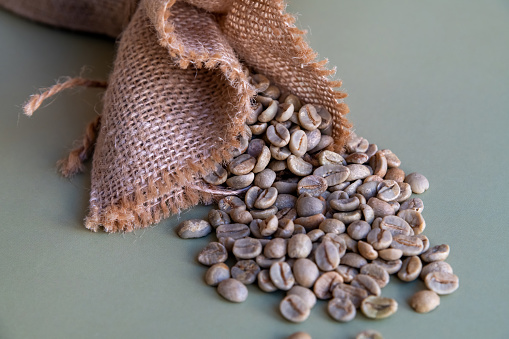 Raw coffee beans lies on green background next to brown sackcloth sack. Selective focus. Close-up view. Responsible coffee business theme.