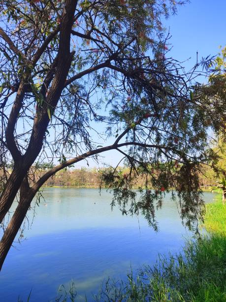 istock City lake side morning viewing 1383519144