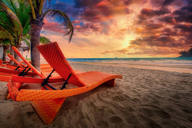 istock Beach chairs and coconut palm tree on the tropical beach at sunset 1383523552