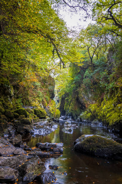 istock Fairy glen wales 1383525345