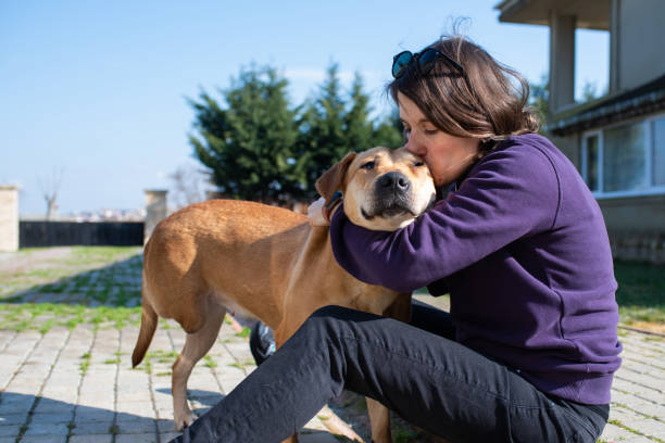 istock Woman playing with her disabled dog 1383528497