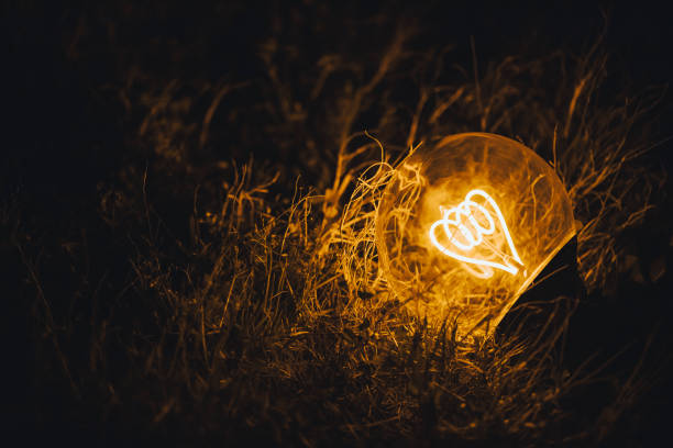 Light bulb glowing on the grass, creative eco saving energy idea concept