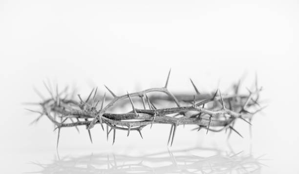 crown of thorns easter background stock photo