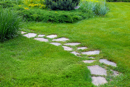 rough different shapes of natural stone path paved in the green backyard turf lawn, crescent backyard walkway landscape with bushes, nobody.