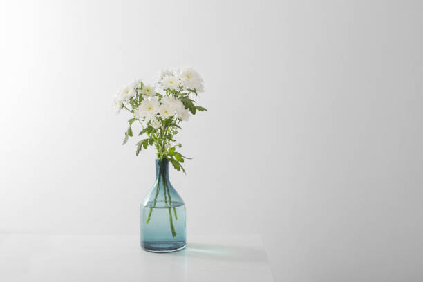 istock white  chrysanthemums in  glass vase on white  background 1383532541