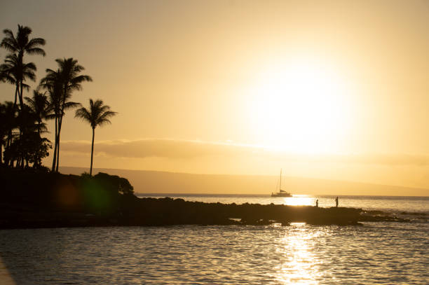 istock Sailboat near Sunset 1383542195