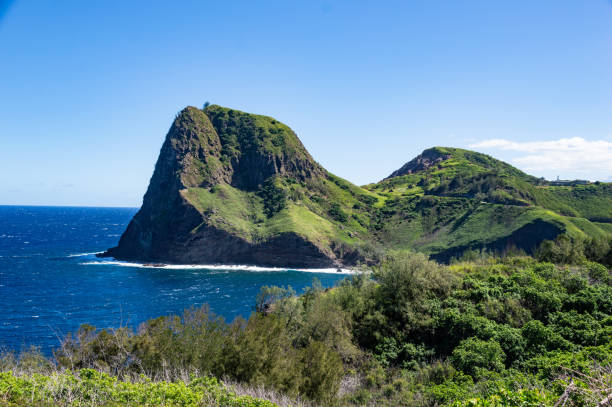 istock Beach scene Late January, 2022, Maui, Hawaii 1383543699