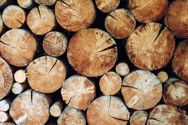 istock Stacking Wooden Logs for home heating. Background 1383545305
